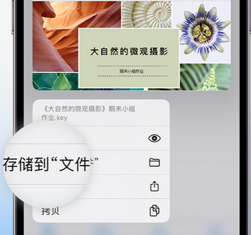 零陵apple维修中心分享iPhone文件应用中存储和找到下载文件