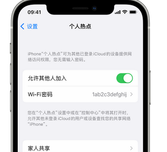 零陵apple服务站点分享iPhone上个人热点丢失了怎么办 