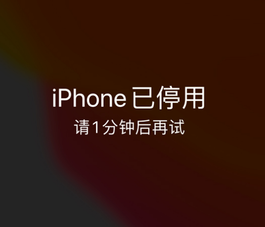 零陵苹果手机维修分享:iPhone 显示“不可用”或“已停用”怎么办？还能保留数据吗？ 