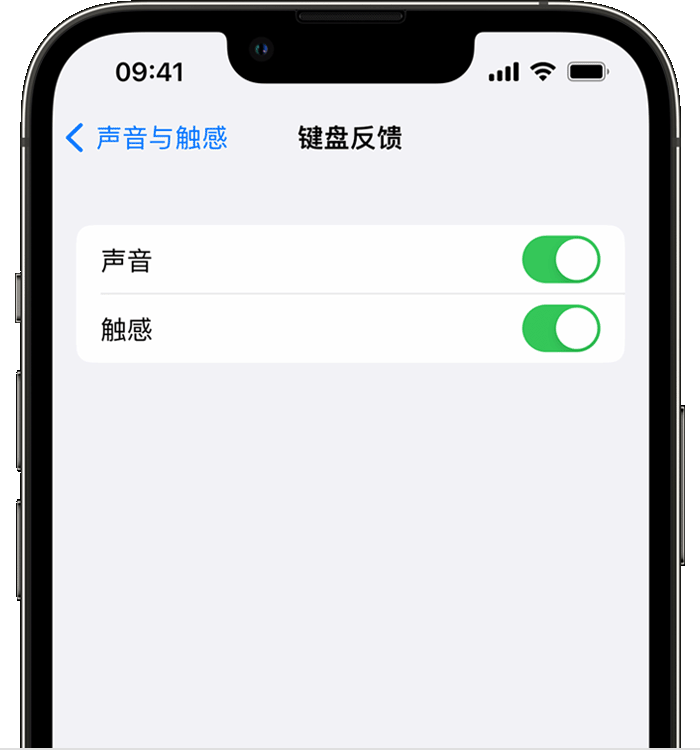 零陵苹果14维修店分享如何在 iPhone 14 机型中使用触感键盘 