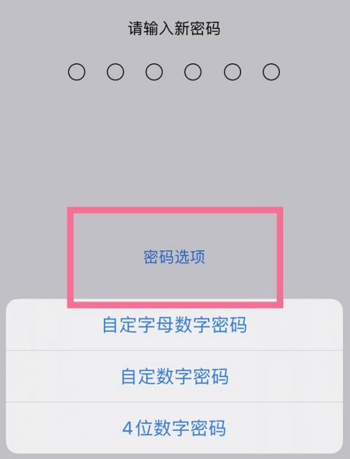 零陵苹果14维修分享iPhone 14plus设置密码的方法 