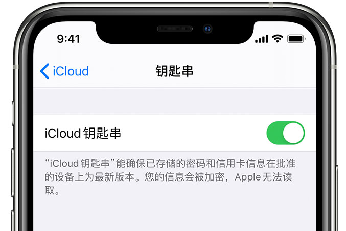 零陵苹果手机维修分享在 iPhone 上开启 iCloud 钥匙串之后会储存哪些信息 