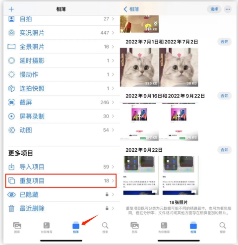 零陵苹果手机维修分享iOS 16 中相册重复项目功能使用方法 