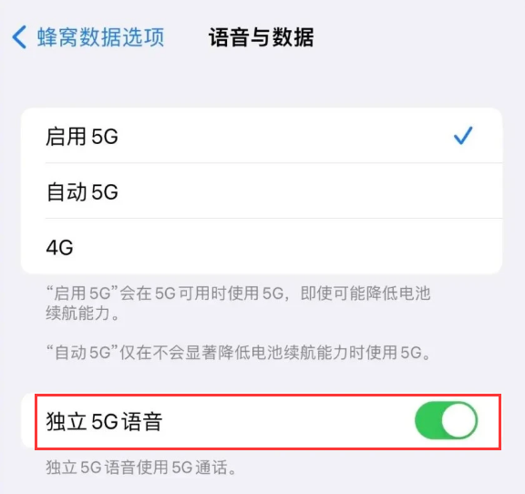 零陵苹果14维修分享iPhone 14 Pro如何开启VoNR 
