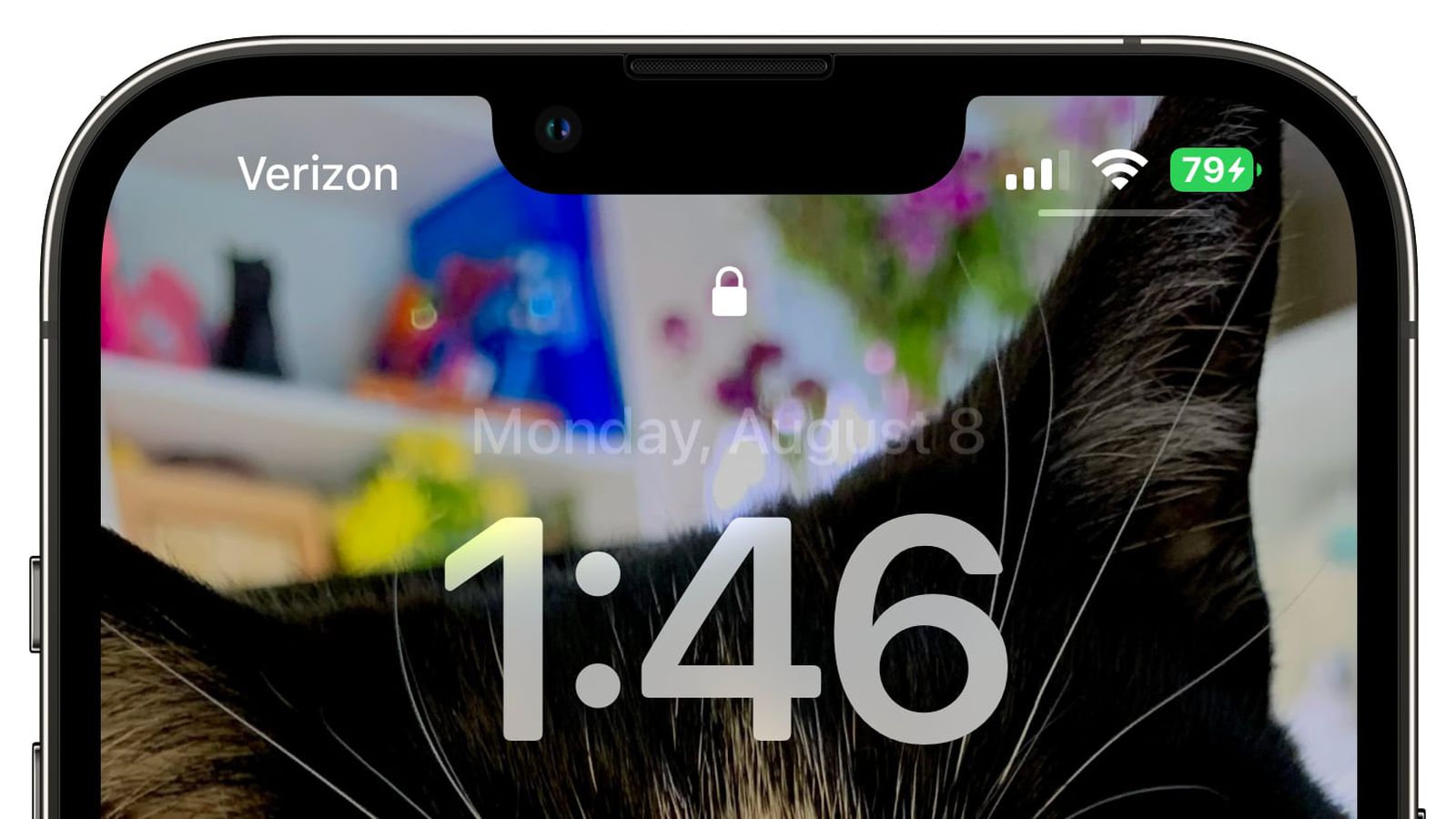 零陵苹果手机维修分享iOS 16 beta 5 支持状态栏显示电池百分比，如何开启？支持哪些机型 