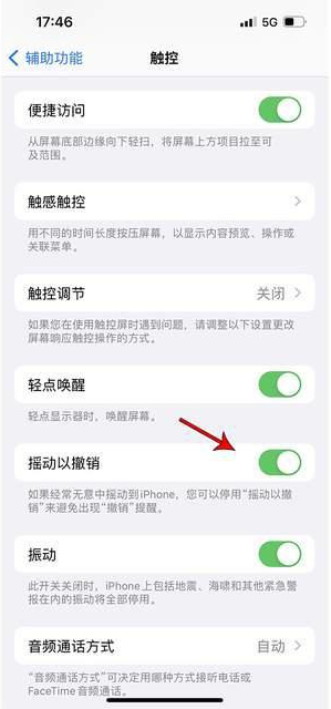 零陵苹果手机维修分享iPhone手机如何设置摇一摇删除文字 