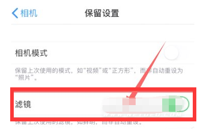零陵苹果13维修分享iPhone13拍照有绿点是怎么回事 