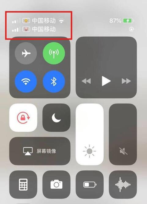 零陵苹果手机维修分享为 iPhone 12 双卡设置标签 