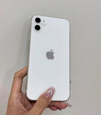 零陵苹果维修点分享iPhone 11扩容深层隐患详解 