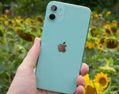 零陵苹果维修点分享iPhone 11锁屏密码认知与使用科普 