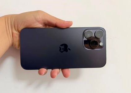 零陵苹果维修点分享iPhone 14 Pro Max黑屏少见故障盘点 